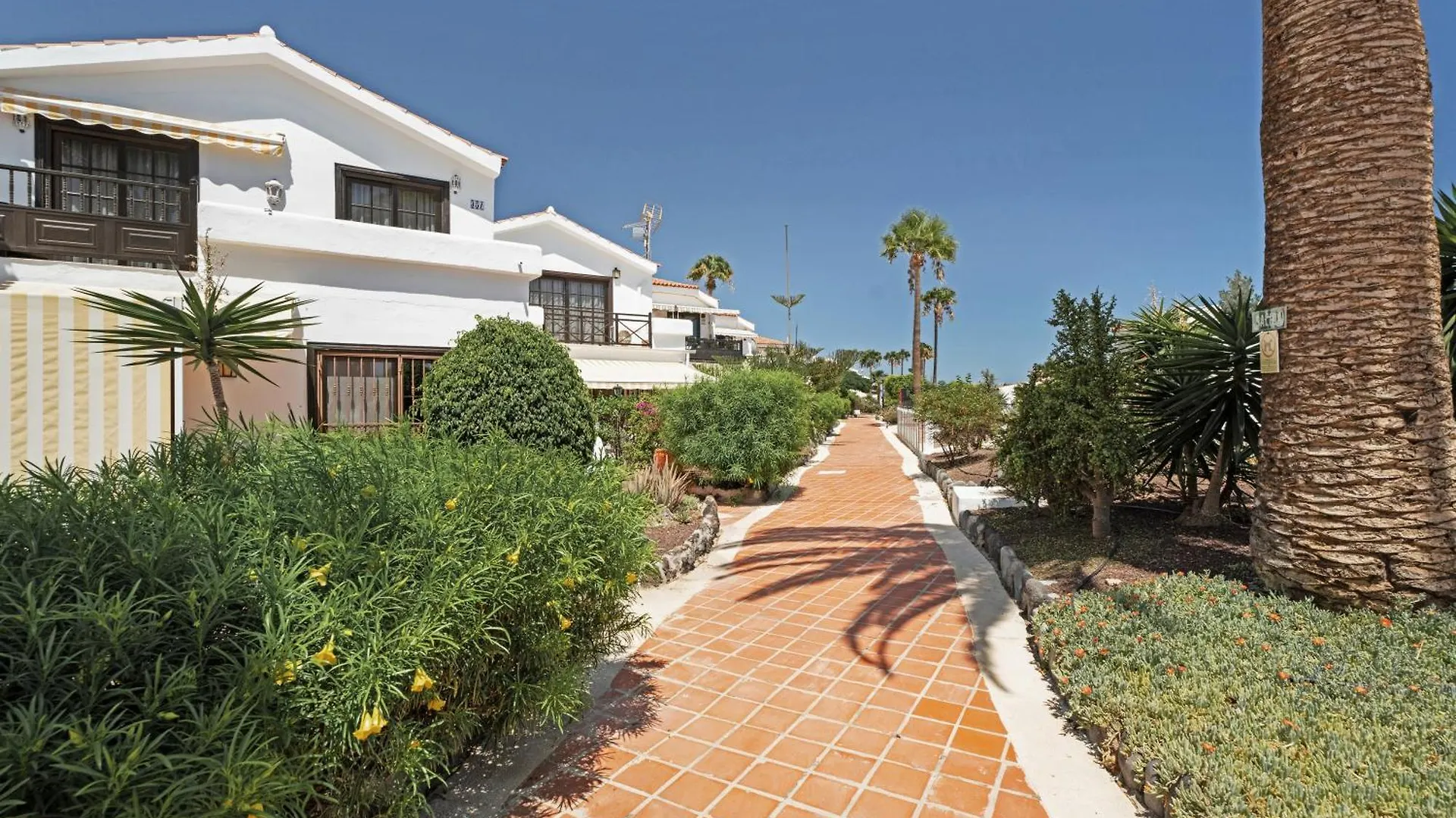 Adelfa Golf Daire San Miguel de Abona